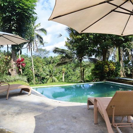 Aventus Resort Ubud 德格拉朗 外观 照片
